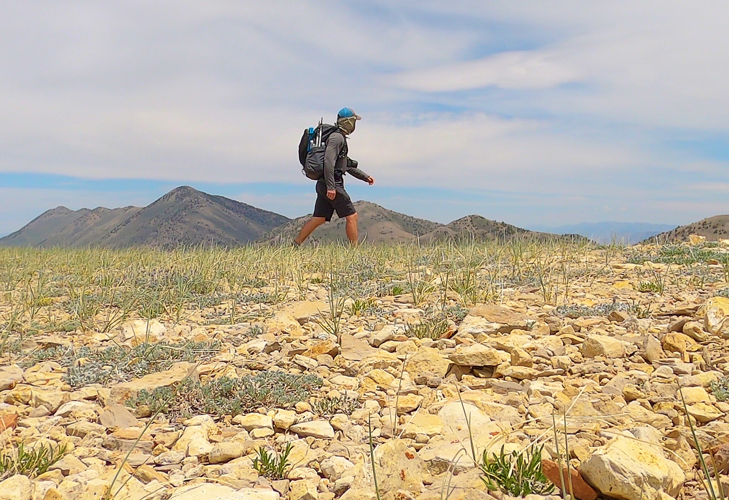 Basin and Range Trail - Egan Mountains, Section 1