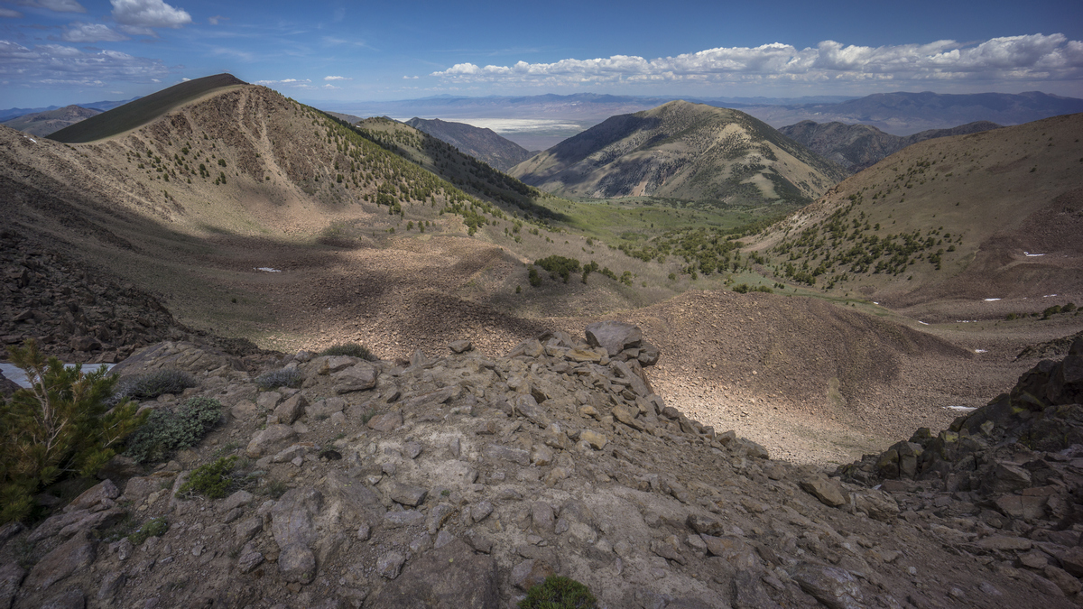 view from the toiyabe crest trail